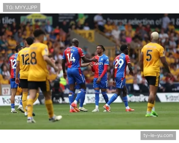 水晶宫2-1逆转纽卡斯尔，霍奇森率队保级路上关键三分